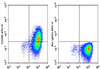 APC Anti-Mouse CD206 Antibody [C068C2] (AGEL1653)