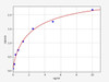 Human N-Cadherin ELISA Kit (HUFI00046)