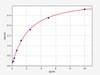 Human Cytochrome P450 1A1/CYP1A1 ELISA Kit (HUFI00878)