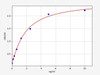 Human IQGAP1 ELISA Kit (HUFI00971)