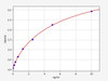 Human Synaptopodin/SYNPO ELISA Kit (HUFI01011)