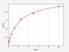 Human PANX1 (Pannexin-1) ELISA Kit (HUFI01018)