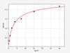 Human ELN/Elastin ELISA Kit (HUFI01225)