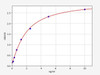 Human ATM ELISA Kit (HUFI01248)