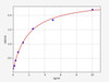 Human Pantetheinase/VNN1 ELISA Kit (HUFI01321)