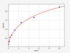 Human LAMC2 protein ELISA Kit (HUFI01352)