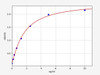 Human ADCYAP1R1/Pituitary adenylate cyclase-activating polypeptide type I receptor ELISA Kit (HUFI01466)