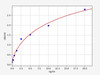 Human Metallothionein/MT ELISA Kit (HUFI01656)