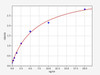 Human Phospholamban/PLN ELISA Kit (HUFI01664)
