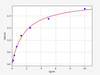 Human Semaphorin 3F/SEMA3F ELISA Kit (HUFI01856)