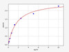 Human SPAG1/Sperm-associated antigen 1 ELISA Kit (HUFI02168)