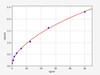 Human ADIPOR2/Adiponectin Receptor 2 ELISA Kit (HUFI02182)