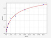 Human C3a/Complement 3a ELISA Kit (HUFI02273)