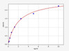 Human CLDN11/Claudin-11 ELISA Kit (HUFI02328)
