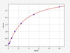 Human CYP24A1 ELISA Kit (HUFI02374)