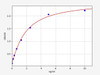 Human TIMP3 ELISA Kit (HUFI00256)