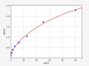 Human BAX ELISA Kit (HUFI00482)