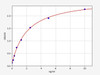 Human Relaxin 3 ELISA Kit (HUFI00542)