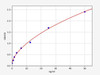 Human Trypsin 2/PRSS2 ELISA Kit (HUFI00569)