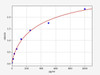 Human GDF11 ELISA Kit (HUFI00640)