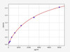 Rat MIP-3a/CCL20 ELISA Kit (RTFI00041)