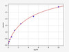 Rat alpha 2 Macroglobulin ELISA Kit (RTFI00092)