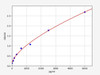 Rat BDH1/D-beta-hydroxybutyrate dehydrogenase mitochondrial ELISA Kit (RTFI00146)