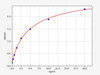 Rat ERR gamma/NR3B3 ELISA Kit (RTFI00167)