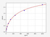Rat PDGF-C/Platelet Derived Growth Factor C ELISA Kit (RTFI00202)