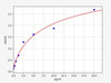 Rat CAPN6/Calpain 6 ELISA Kit (RTFI00498)