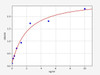 Rat OCLN/Occludin ELISA Kit (RTFI01004)