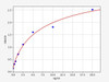 Rat Proinsulin ELISA Kit (RTFI01055)