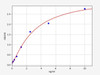 Rat PTGES/Prostaglandin E Synthase ELISA Kit (RTFI01091)