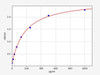 Rat SAA/Serum Amyloid A ELISA Kit (RTFI01111)