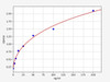 Rat Uromucoid ELISA Kit (RTFI01167)