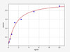 Rabbit CD40L/TNFSF5 ELISA Kit (RBFI00026)