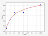 Rabbit COL1A2/Collagen I Alpha 2 ELISA Kit (RBFI00030)