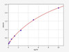 Rabbit Oct4/Octamer Binding Transcription Factor 4 ELISA Kit (RBFI00090)