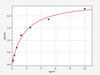 Mouse Sestrin 3/SESN3 ELISA Kit (MOFI01106)