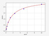Mouse S100A1 ELISA Kit (MOFI00114)