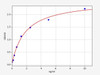 Mouse Caspase 3 ELISA Kit (MOFI00145)