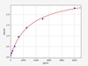 Mouse Ntrk1/TrkA ELISA Kit (MOFI00183)