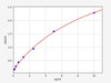 Mouse PCNA/Proliferating Cell Nuclear ELISA Kit (MOFI00256)