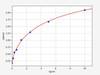 Mouse Bace1/Beta-secretase 1 ELISA Kit (MOFI00284)