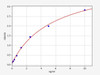 Mouse alpha smooth muscle Actin/ACTA2 ELISA Kit (MOFI00402)