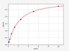 Mouse FNDC5/Fibronectin type III domain-containing 5 ELISA Kit (MOFI00466)