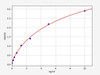 Mouse NR3C1/Glucocorticoid Receptor ELISA Kit (MOFI00467)