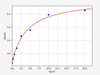Mouse FOXP3/Forkhead box protein P3 ELISA Kit (MOFI00500)