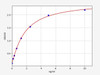 Mouse T-bet/TBX21 ELISA Kit (MOFI00589)