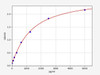 Mouse Dkk-2/Dickkopf-related protein 2 ELISA Kit (MOFI00609)